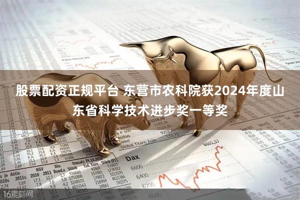 股票配资正规平台 东营市农科院获2024年度山东省科学技术进步奖一等奖